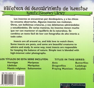 Katydids / Saltamontes (Insects Discovery Library) (Paperback)