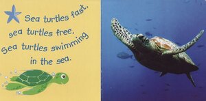 Sea Turtles What Do You Do (Rourke Board Book)