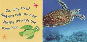 Sea Turtles What Do You Do (Rourke Board Book)