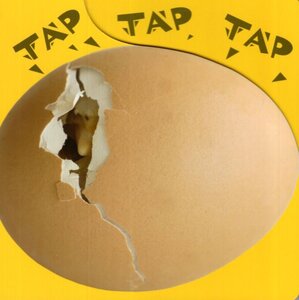 Tap Tap Tap What’s Hatching / What’s in an Egg ( Rourke Board Book )