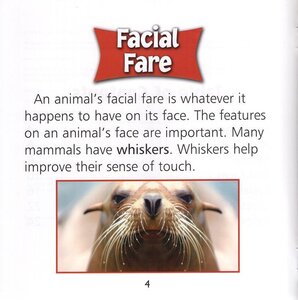 Facial Fare (What Animals Wear)