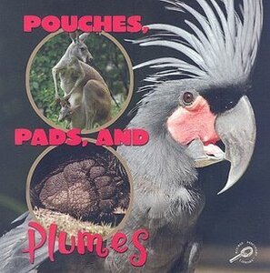 Pouches Pads and Plumes ( What Animals Wear )