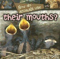 How Do Animals Use Their Mouths