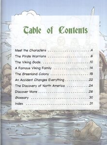 Vikings (Warriors Graphic Illustrated History)