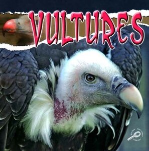 Vultures ( Raptors )