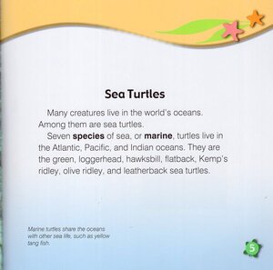 Sea Turtles (Marine Life)