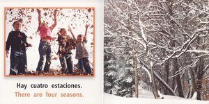 Seasons / Las estaciones (Rourke Board Book Bilingual)