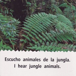 I Hear Jungle Animals / Escucho Animales de la Jungla (Rourke Board Books Bilingual)