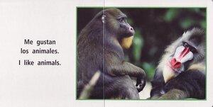 I Like Animals / Me Gustan los Animales ( Rourke Board Book Bilingual )