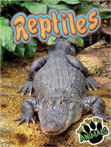 Reptiles ( Eye to Eye with Animals )