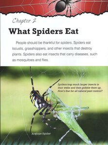 Spiders (Eye to Eye with Animals)