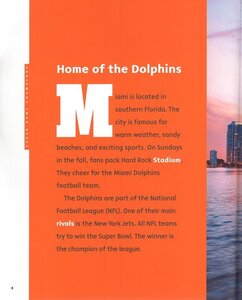 Miami Dolphins (Creative Sports: Super Bowl Champions)