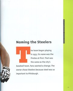 Pittsburgh Steelers (Creative Sports: Super Bowl Champions)