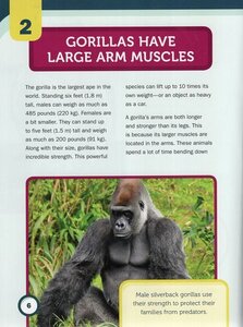 12 Super Strong Animals You Need to Know (Super Incredible Animals)