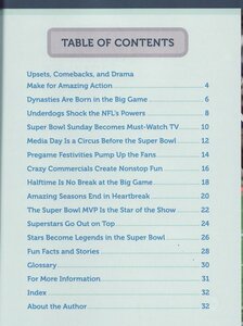 Super Bowl: 12 Reasons to Love the NFL's Big Game (NFL at a Glance)