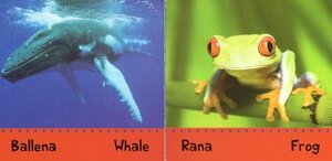 Animals Big and Small / Animales Grandes y Pequenos ( First Words Bilingual ) (Board Book)