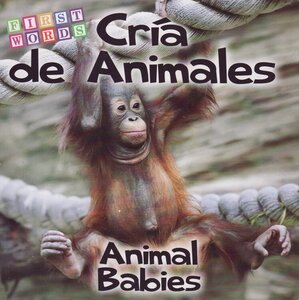 Animal Babies / Cria De Animales ( First Words Bilingual ) (Board Book)