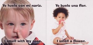 I Smell / Yo Huelo (Babies World Bilingual) (Board Book)