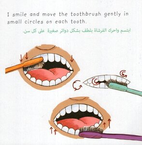 Madison Goes to the Dentist (Arabic / English) (Board Book)