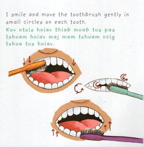 Madison Goes to the Dentist (Hmong / English) (Board Book)