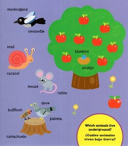 101 Animal Words / Nombres de Animales (Board Book Bilingual)