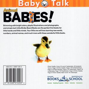 Animal Babies (Baby Talk) (Board Book)