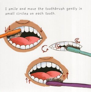 Madison Goes to the Dentist (Board Book)