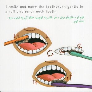 Madison Goes to the Dentist (Pashto/English) (Board Book)