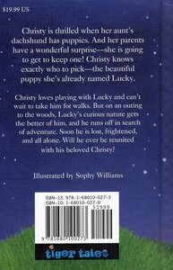 Lost Puppy (Pet Rescue Adventures) (Library Binding)