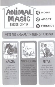 Home Alone Kitten (Animal Rescue Center) (Hardcover)