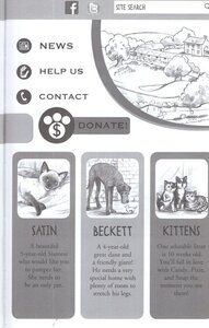 Home Alone Kitten (Animal Rescue Center) (Hardcover)