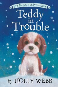 Teddy in Trouble ( Pet Rescue Adventures ) (Library Binding)