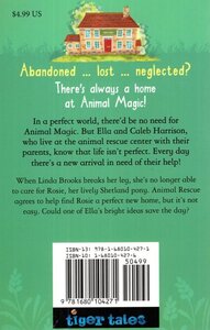Sad Pony (Animal Rescue Center) (Paperback)