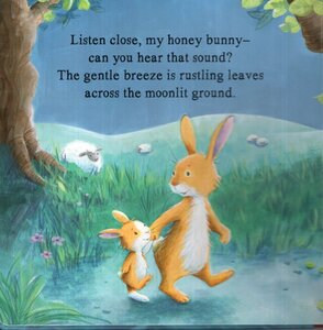 Good Night My Honey Bunny (Board Book)