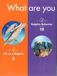Dolphins ( Curious about Wild Animals )