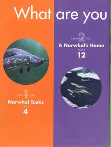 Narwhals (Curious about Wild Animals)