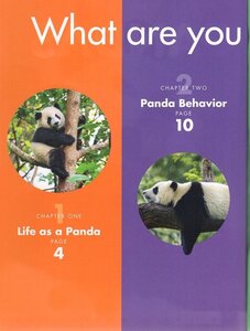 Pandas (Curious about Wild Animals)