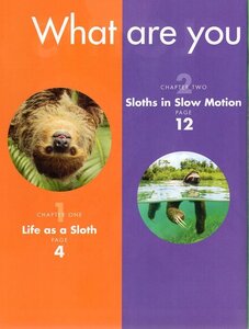 Sloths (Curious about Wild Animals)