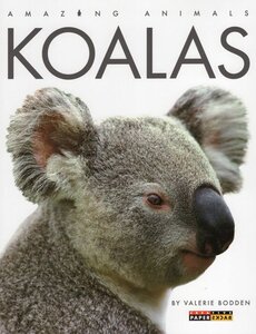 Koalas ( Amazing Animals )