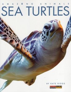 Sea Turtles ( Amazing Animals )