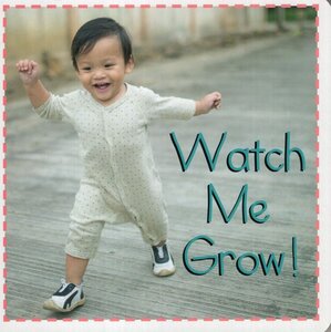 Watch Me Grow! ( Baby Firsts ) (Board Book)