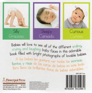 Baby's Feelings / Los Sentimientos de Bebe (Baby Firsts Bilingual) (Board Book)