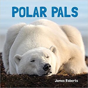 Polar Pals (Animal Lovers) (Board Book)