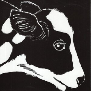 Animals ( Black and White ) (Board Book)