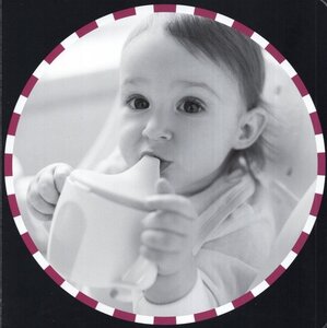 Baby Food (Spanish/Eng Bilingual) (Board Book)