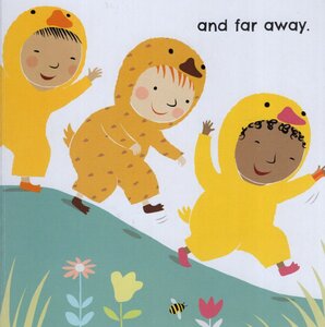 Five Little Ducks (Baby Rhyme Time) (Board Book)