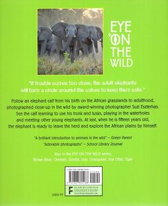 Elephant (Eye on the Wild)