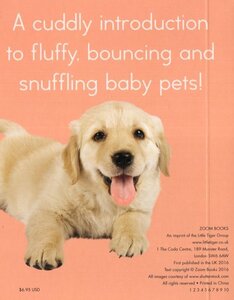 Pets (Zoom Books) (Board Book)