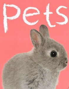 Pets ( Zoom Books ) (Board Book)
