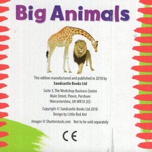 Big Animals (Chunky Board Book)
